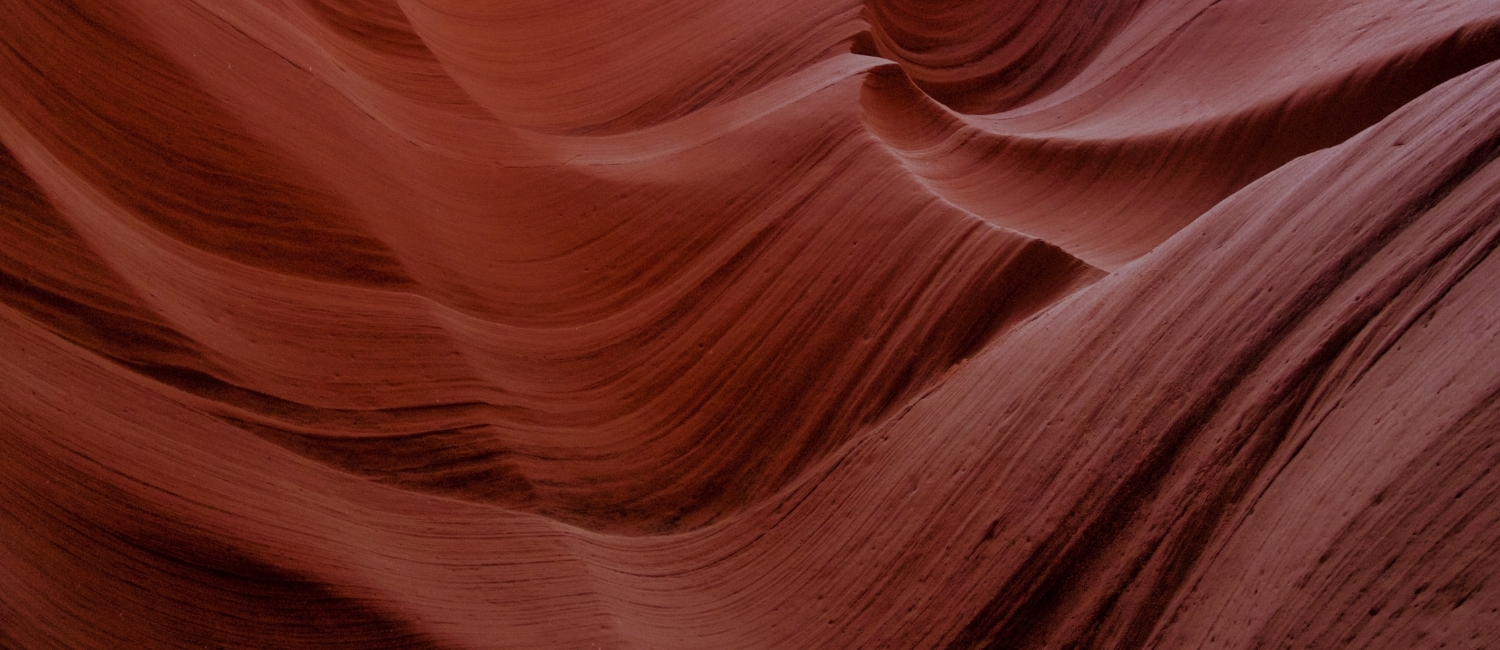 CI Dowling & Yahnke Private Wealth PROCESS AND PHILOSOPHY