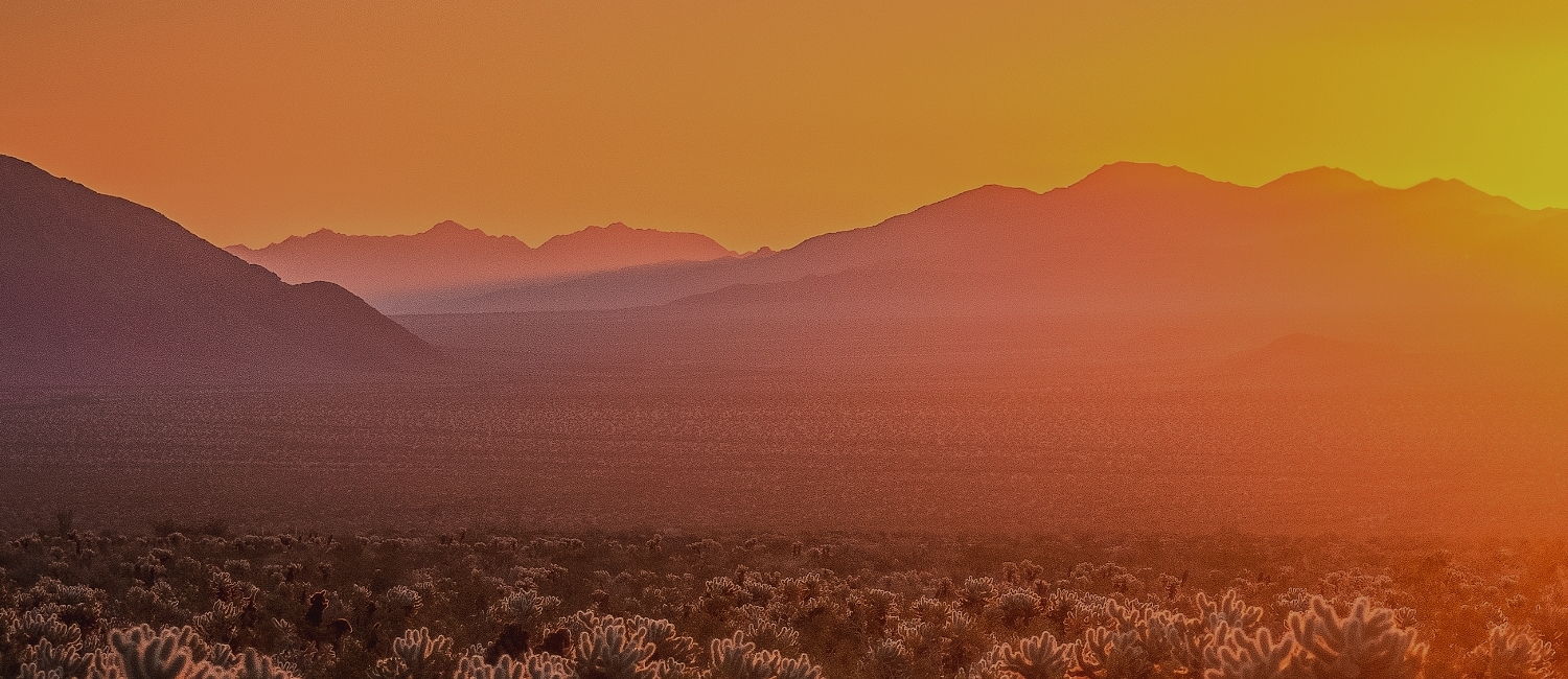 ABOUT US CI Dowling & Yahnke Private Wealth